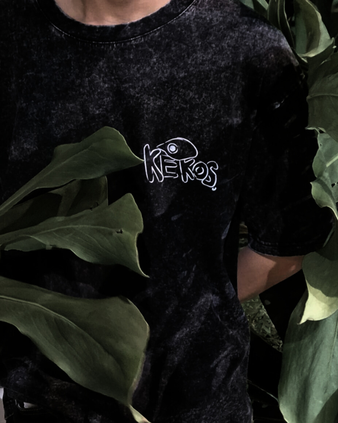 "Boxed Bird" TEE SHIRT (PREORDER)